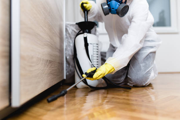 Important Mistakes To Avoid When Hiring Pest Extermination Services In New York
