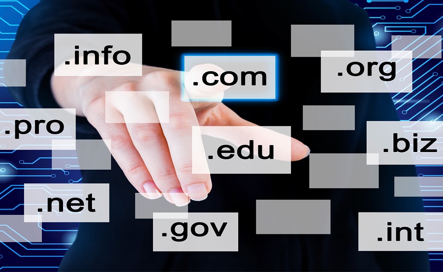 Getting Your Business Online_ Registering a Domain Name