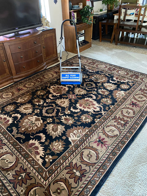 From Inspection to Grooming: The Comprehensive Process of Professional Area Rug Cleaning