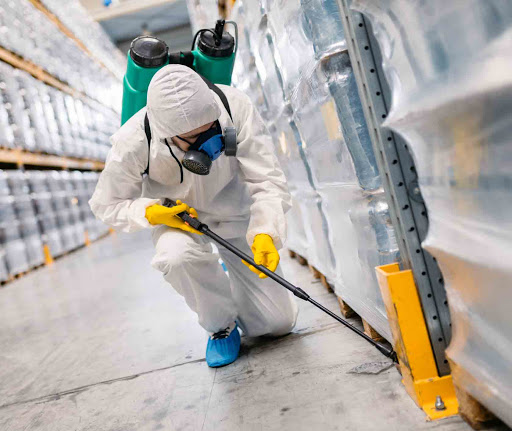 The Benefits of Professional Pest Control Services