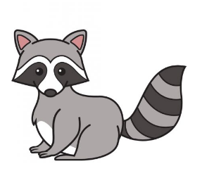 Draw a Raccoon – Step-by-Step Guide